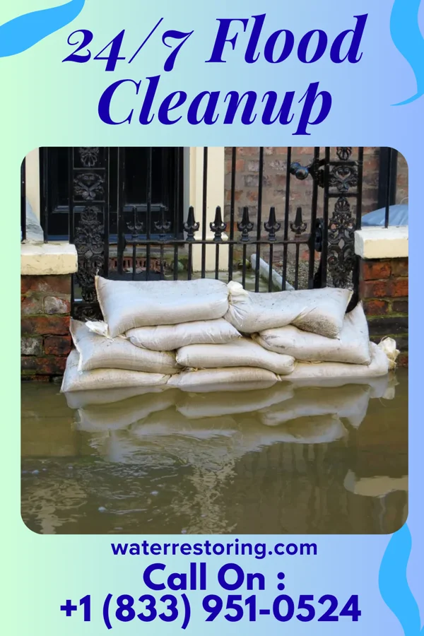 24/7 Flood Cleanup in Third Lake, IL
