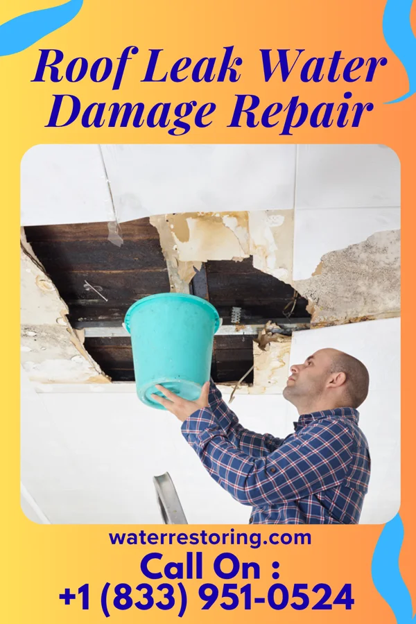 Roof Leak Water Damage Repair in Third Lake, IL