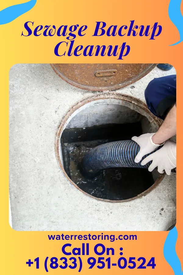 Sewage Backup Cleanup in Third Lake, IL