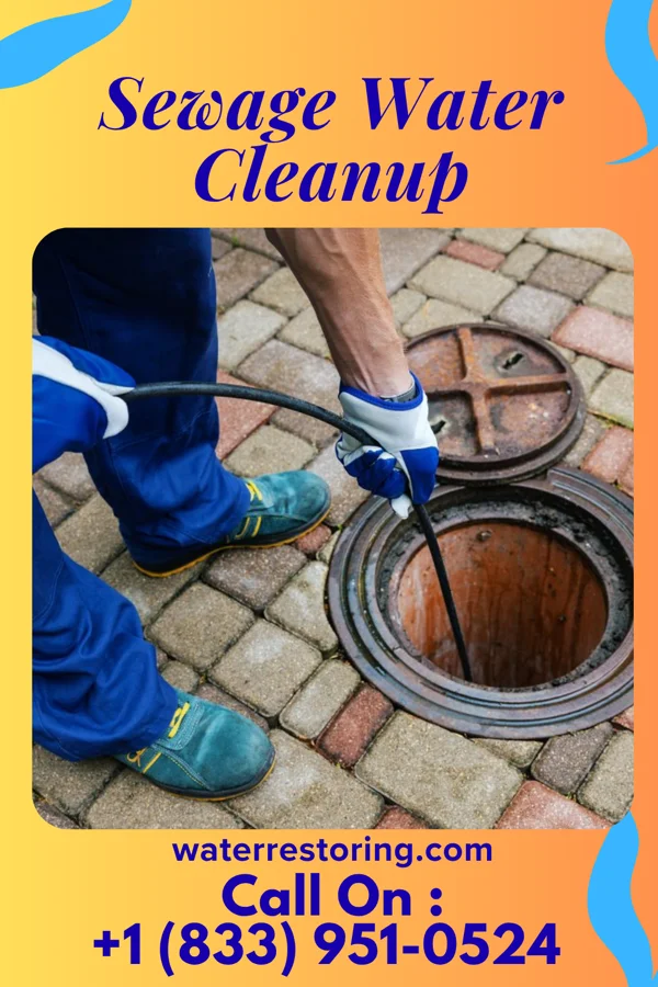 Sewage Water Cleanup in Third Lake, IL